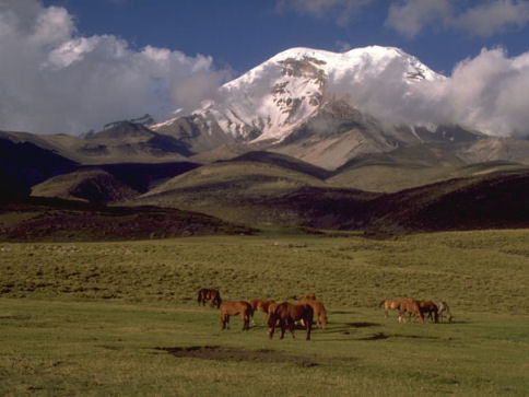 Foto ecuador